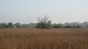 „Stawy Kiszkowskie” – unikatowe miejsce na Pojezierzu Gnieźnieńskim - zdjęcie 4