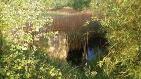 „Stawy Kiszkowskie” – unikatowe miejsce na Pojezierzu Gnieźnieńskim - zdjęcie 6