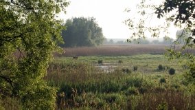 „Stawy Kiszkowskie” – unikatowe miejsce na Pojezierzu Gnieźnieńskim - zdjęcie 7