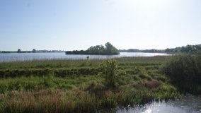 „Stawy Kiszkowskie” – unikatowe miejsce na Pojezierzu Gnieźnieńskim - zdjęcie 8