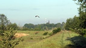 „Stawy Kiszkowskie” – unikatowe miejsce na Pojezierzu Gnieźnieńskim - zdjęcie 9