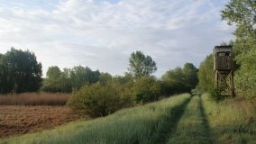 „Stawy Kiszkowskie” – unikatowe miejsce na Pojezierzu Gnieźnieńskim - zdjęcie 10