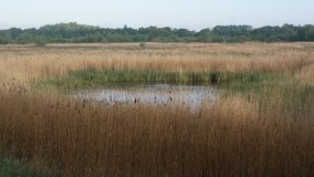 „Stawy Kiszkowskie” – unikatowe miejsce na Pojezierzu Gnieźnieńskim - zdjęcie 11