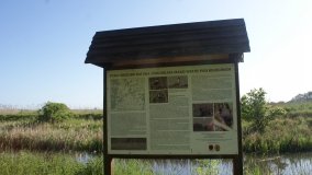 „Stawy Kiszkowskie” – unikatowe miejsce na Pojezierzu Gnieźnieńskim - zdjęcie 15