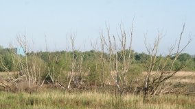 „Stawy Kiszkowskie” – unikatowe miejsce na Pojezierzu Gnieźnieńskim - zdjęcie 16