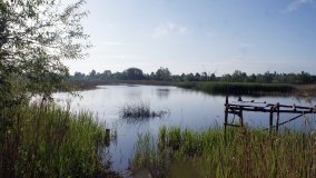 „Stawy Kiszkowskie” – unikatowe miejsce na Pojezierzu Gnieźnieńskim - zdjęcie 18