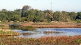 „Stawy Kiszkowskie” – unikatowe miejsce na Pojezierzu Gnieźnieńskim - zdjęcie 20