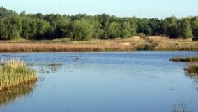 „Stawy Kiszkowskie” – unikatowe miejsce na Pojezierzu Gnieźnieńskim - zdjęcie 21