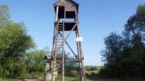 „Stawy Kiszkowskie” – unikatowe miejsce na Pojezierzu Gnieźnieńskim - zdjęcie 23