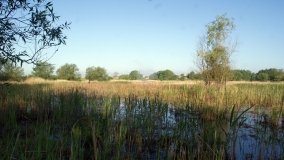 „Stawy Kiszkowskie” – unikatowe miejsce na Pojezierzu Gnieźnieńskim - zdjęcie 24