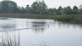 „Stawy Kiszkowskie” – unikatowe miejsce na Pojezierzu Gnieźnieńskim - zdjęcie 25