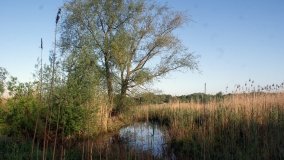 „Stawy Kiszkowskie” – unikatowe miejsce na Pojezierzu Gnieźnieńskim - zdjęcie 26