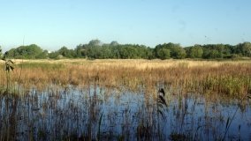 „Stawy Kiszkowskie” – unikatowe miejsce na Pojezierzu Gnieźnieńskim - zdjęcie 28