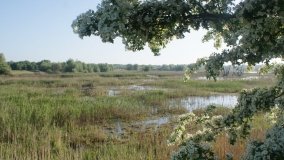 „Stawy Kiszkowskie” – unikatowe miejsce na Pojezierzu Gnieźnieńskim - zdjęcie 29