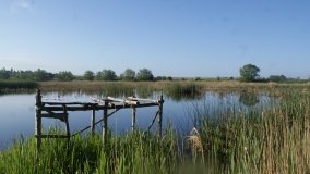 „Stawy Kiszkowskie” – unikatowe miejsce na Pojezierzu Gnieźnieńskim - zdjęcie 31