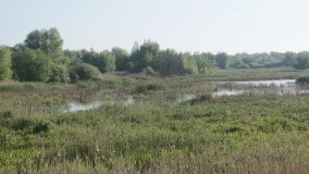 „Stawy Kiszkowskie” – unikatowe miejsce na Pojezierzu Gnieźnieńskim - zdjęcie 32