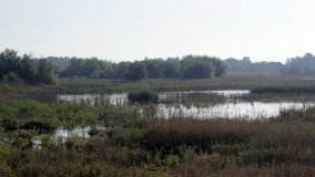 „Stawy Kiszkowskie” – unikatowe miejsce na Pojezierzu Gnieźnieńskim - zdjęcie 34