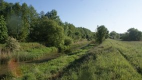 „Stawy Kiszkowskie” – unikatowe miejsce na Pojezierzu Gnieźnieńskim - zdjęcie 35