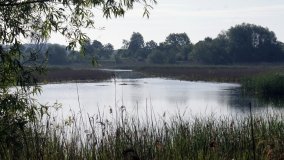 „Stawy Kiszkowskie” – unikatowe miejsce na Pojezierzu Gnieźnieńskim - zdjęcie 37