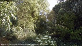 Skarb Stefana Karłowskiego. Gdzie jest ukryty?  - zdjęcie 7