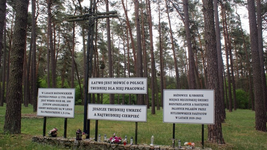 „Rożnowice” - zdjęcie 1