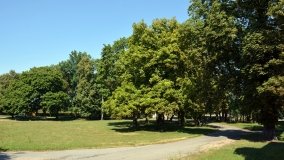 Z wizytą u Józefa Wybickiego - zdjęcie 13