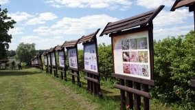 „Bracholińska Ostoja” - zdjęcie 5