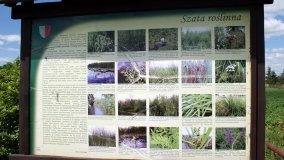 „Bracholińska Ostoja” - zdjęcie 6