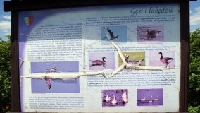 „Bracholińska Ostoja” - zdjęcie 7