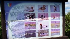 „Bracholińska Ostoja” - zdjęcie 8