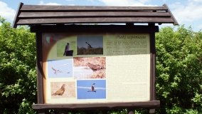 „Bracholińska Ostoja” - zdjęcie 12