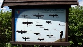 „Bracholińska Ostoja” - zdjęcie 13