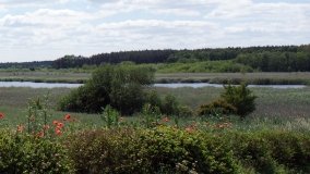 „Bracholińska Ostoja” - zdjęcie 15