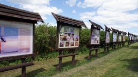 „Bracholińska Ostoja” - zdjęcie 16