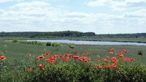 „Bracholińska Ostoja” - zdjęcie 17