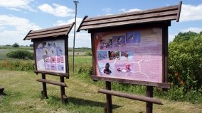 „Bracholińska Ostoja” - zdjęcie 19