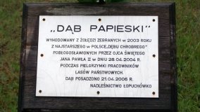 Sanktuarium na skraju Puszczy Zielonka... - zdjęcie 5