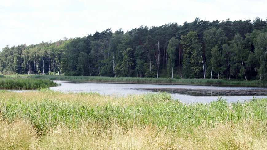 Park Krajobrazowy Promno - zdjęcie 1