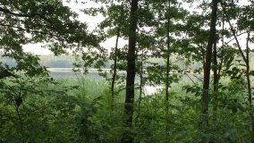 Park Krajobrazowy Promno - zdjęcie 2