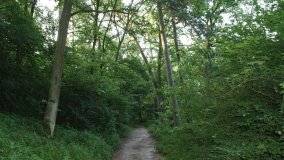 Park Krajobrazowy Promno - zdjęcie 5