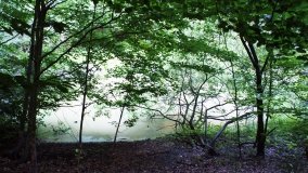 Park Krajobrazowy Promno - zdjęcie 7