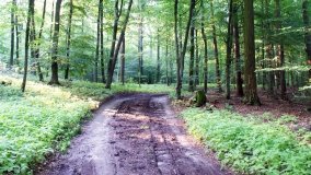 Park Krajobrazowy Promno - zdjęcie 8