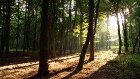 Park Krajobrazowy Promno - zdjęcie 9