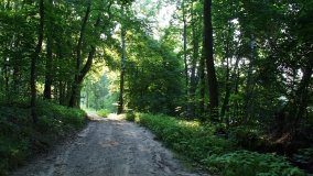 Park Krajobrazowy Promno - zdjęcie 10