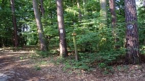 Park Krajobrazowy Promno - zdjęcie 13