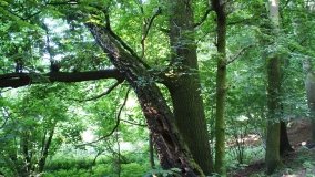 Park Krajobrazowy Promno - zdjęcie 14