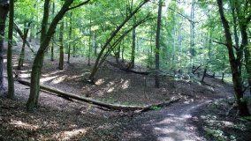 Park Krajobrazowy Promno - zdjęcie 15