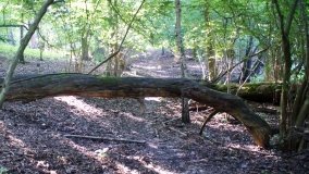 Park Krajobrazowy Promno - zdjęcie 16