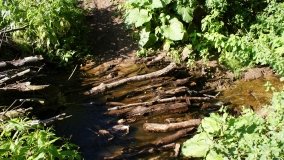 Park Krajobrazowy Promno - zdjęcie 18