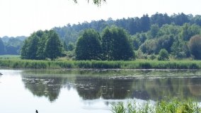 Park Krajobrazowy Promno - zdjęcie 19